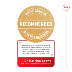 Royal Canin Veterinary Renal Dry Cat Food -KONG Shop Dr Katrina Crowe PDS Tile 25