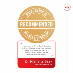 Royal Canin Siamese Breed Adult Dry Cat Food -KONG Shop Dr Michelle Gray PDS Tile 27