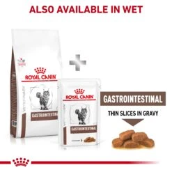 Royal Canin Veterinary Diet Gastrointestinal Adult Cat Dry Food 19 Royal Canin Veterinary Diet Gastrointestinal Adult Cat Dry Food -KONG Shop EGGFREEGastrointestinalGICatDry PDSANZ JG27.06.24 Page 8