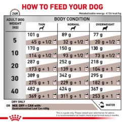 Royal Canin Veterinary Diet Gastrointestinal Adult Dog Dry Food -KONG Shop EGG FREE Gastrointestinal GI Dog Dry PDS ANZ JG 27.06.24