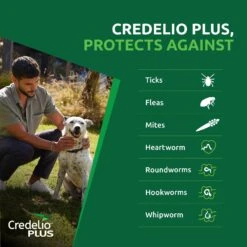 Credelio Plus For Medium Dogs 5.5-11kg Orange -KONG Shop ELAN 5420036941477 8