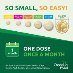 Credelio Plus For Large Dogs 11-22kg Green -KONG Shop ELAN 5420036941484 12