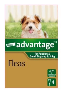 Advantage Green Puppy/Small Dog (<4kg) -KONG Shop ELAN 9310160657749 70