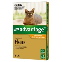 Advantage Orange For Small Cats And Kittens (0-4kg) -KONG Shop ELAN 9310160657787 0