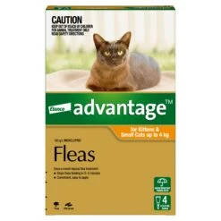 Advantage Orange For Small Cats And Kittens (0-4kg) -KONG Shop ELAN 9310160657787 1