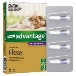 Advantage Purple For Large Cats (>4kg) -KONG Shop ELAN 9310160657794 7