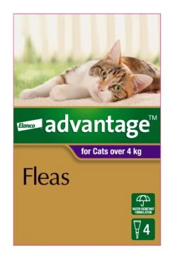 Advantage Purple For Large Cats (>4kg) -KONG Shop ELAN 9310160657794 70