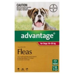 Advantage Red Large Dog (10-25kg) -KONG Shop ELAN 9310160805560 1