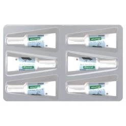 Advantage Blue Extra Large Dog (25kg+) -KONG Shop ELAN 9310160805584 9