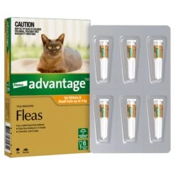 Advantage Orange For Small Cats And Kittens (0-4kg) -KONG Shop ELAN 9310160805614 7