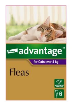 Advantage Purple For Large Cats (>4kg) -KONG Shop ELAN 9310160805621 70