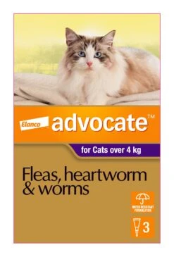 Advocate Purple For Large Cats Over 4kg -KONG Shop ELAN 9310160805812 70