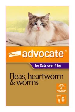 Advocate Purple For Large Cats Over 4kg -KONG Shop ELAN 9310160805836 70