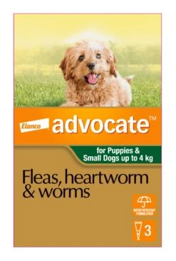 Advocate Green For Puppies & Small Dogs -KONG Shop ELAN 9310160805843 70