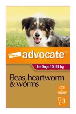 Advocate Red For Large Dogs -KONG Shop ELAN 9310160805867 70