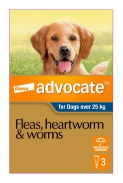 Advocate Blue For Extra Large Dogs -KONG Shop ELAN 9310160805874 70