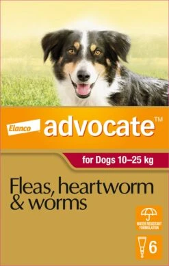 Advocate Red For Large Dogs -KONG Shop ELAN 9310160809612 70