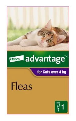 Advantage Purple For Large Cats (>4kg) -KONG Shop ELAN 9310160821737 70