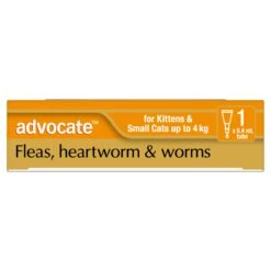 Advocate Orange For Small Cats And Kittens -KONG Shop ELAN 9310160821829 5