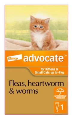 Advocate Orange For Small Cats And Kittens -KONG Shop ELAN 9310160821829 70