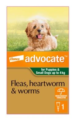 Advocate Green For Puppies & Small Dogs -KONG Shop ELAN 9310160821843 70