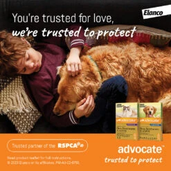 Advocate Green For Puppies & Small Dogs -KONG Shop ELAN 9310160821843 ELAN 9310160821843 4617480689606077962