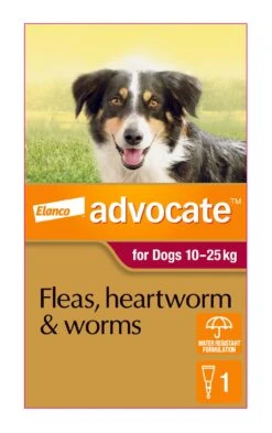 Advocate Red For Large Dogs -KONG Shop ELAN 9310160821867 70