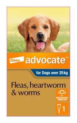 Advocate Blue For Extra Large Dogs -KONG Shop ELAN 9310160821874 70