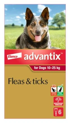 Advantix Red Large Dog (10-25kg) -KONG Shop ELAN 9310190808777 70