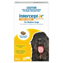 Interceptor Spectrum Medium Dogs (11-22kg) Yellow -KONG Shop ELAN 9326895003096 1 2e1e19d6 c76f 4a1e b84b 85e5e2740509