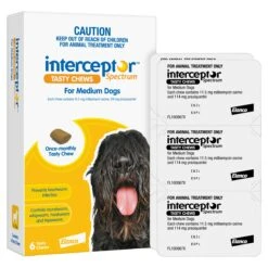 Interceptor Spectrum Medium Dogs (11-22kg) Yellow -KONG Shop ELAN 9326895003096 7