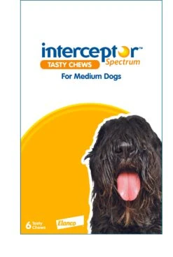 Interceptor Spectrum Medium Dogs (11-22kg) Yellow -KONG Shop ELAN 9326895003096 70 ec81508c d65b 48c8 8441 6058d4bbe342