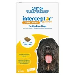 Interceptor Spectrum Medium Dogs (11-22kg) Yellow -KONG Shop ELAN 9326895003225 1