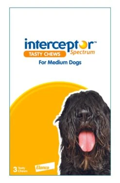 Interceptor Spectrum Medium Dogs (11-22kg) Yellow -KONG Shop ELAN 9326895003225 70