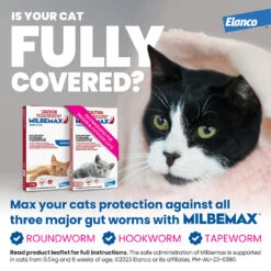 Milbemax Small Cats/Kittens (0-2kg) -KONG Shop ELAN 9326895003416 ELAN 9326895003416 1448588713317128243