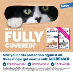 Milbemax Cats (2-8kg) -KONG Shop ELAN 9326895003423 ELAN 9326895003423 5221732333584697149