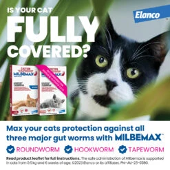 Milbemax Cats (2-8kg) -KONG Shop ELAN 9326895003423 ELAN 9326895003423 6316555719051803515