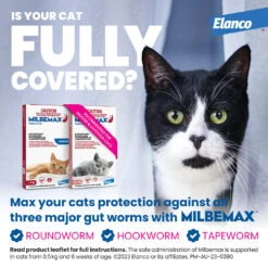 Milbemax Cats (2-8kg) -KONG Shop ELAN 9326895003423 ELAN 9326895003423 7502834356497200098