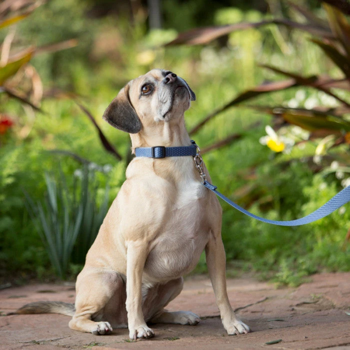 LupinePet Granite Eco Recycled Dog Leash 6 LupinePet Granite Eco Recycled Dog Leash - Image 4