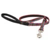 LupinePet El Paso Original Designs Dog Leash 1 LupinePet El Paso Original Designs Dog Leash -KONG Shop ElPasodogleash