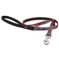 LupinePet El Paso Original Designs Dog Leash