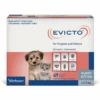Virbac Evicto Spot-On For Puppy & Kitten Up To 2.5kg -KONG Shop Evicto Spot On for Puppy Kitten Up to 2.5kg EVIC 01 Primary