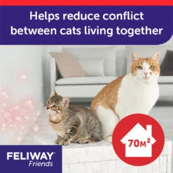Feliway Friends Diffuser + Refill -KONG Shop FELIWAY Friends Carousel2 bcb93130 4f01 4ebc 8d13 2cb707ca1eca
