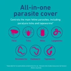 Vetoquinol Felpreva Spot On For Large Cats (5-8kg) -KONG Shop FelprevaDigitalMerchandiseGuideAssetsUSPs Parasites.20231020032614581