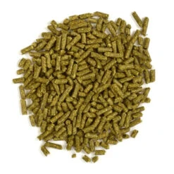 Oxbow Garden Select Adult Rabbit Food -KONG Shop Garden Select Adult Rabbit Pellets