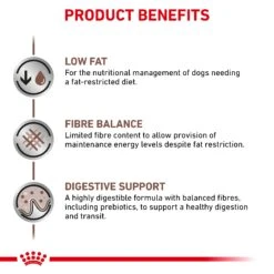 Royal Canin Veterinary Gastrointestinal Low Fat Adult Dog Dry Food -KONG Shop GastrointestinalGILowFatDogDry PDS ANZ JS24.06.24 Page 4