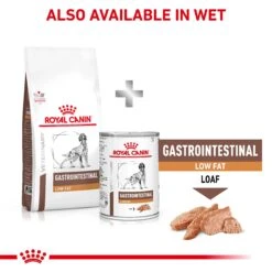 Royal Canin Veterinary Gastrointestinal Low Fat Adult Dog Dry Food -KONG Shop GastrointestinalGILowFatDogDry PDS ANZ JS24.06.24 Page 7