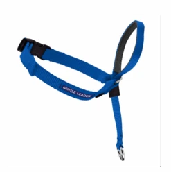 Gentle Leader Collar Large 8 Gentle Leader Collar Large -KONG Shop GentleLeaderCollarLargeblue 9851230e 35bd 498a b58e 6dc5636af3b4