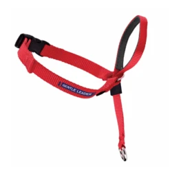 Gentle Leader Collar Large 9 Gentle Leader Collar Large -KONG Shop GentleLeaderCollarLargered