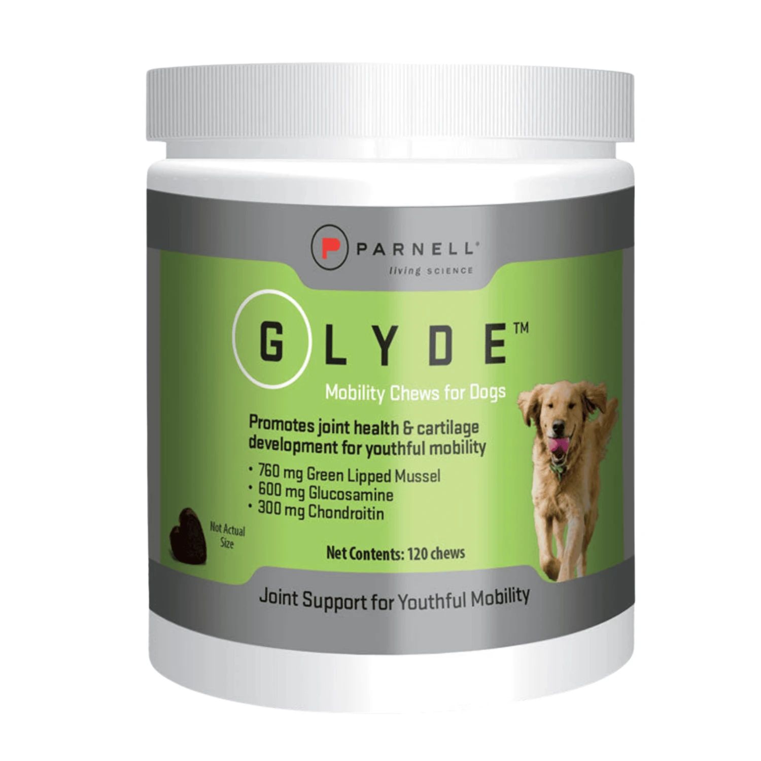 Glyde Mobility Chews For Dogs 4 Glyde Mobility Chews For Dogs - Image 2